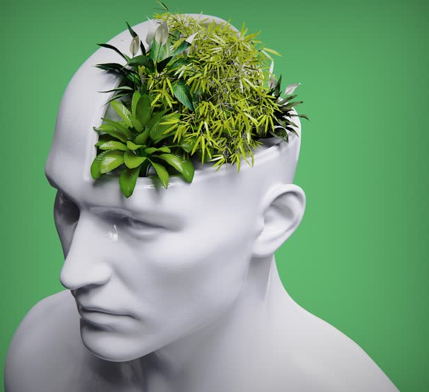 House Plant Brain / Men's Health