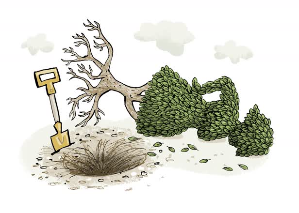 Psychology Uprooted