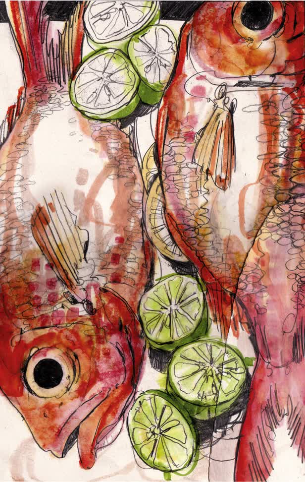 Red Snapper The Times Magazine