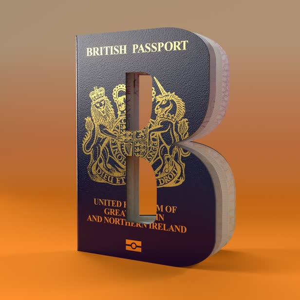 B for Brexit / Self-initiated