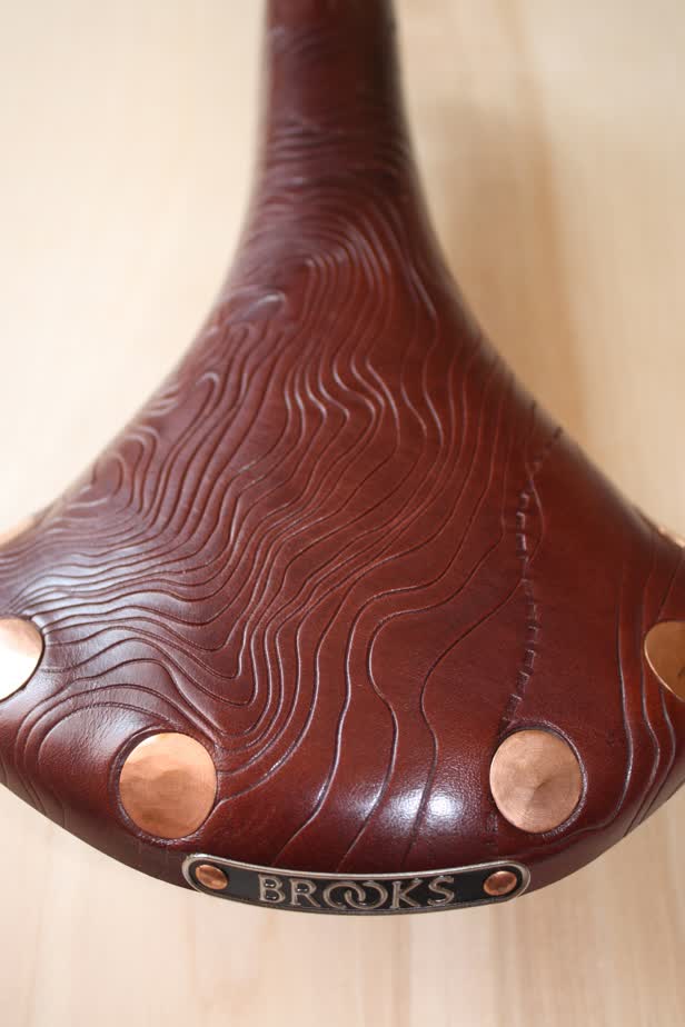 Brooks Saddle