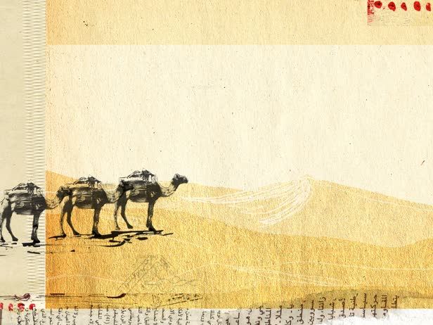 Camels of the Arabian Dessert