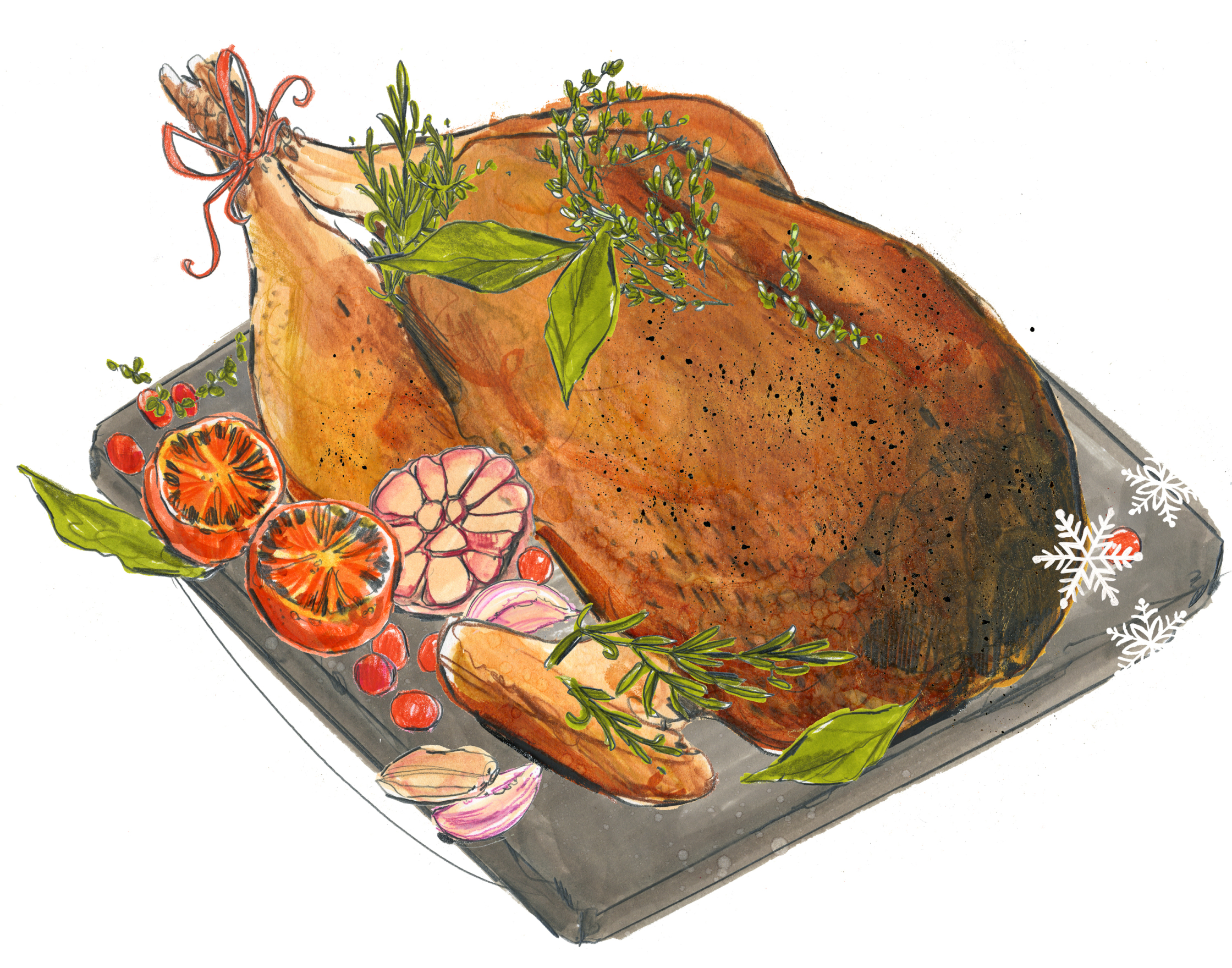 Ocado Turkey illustration.jpg