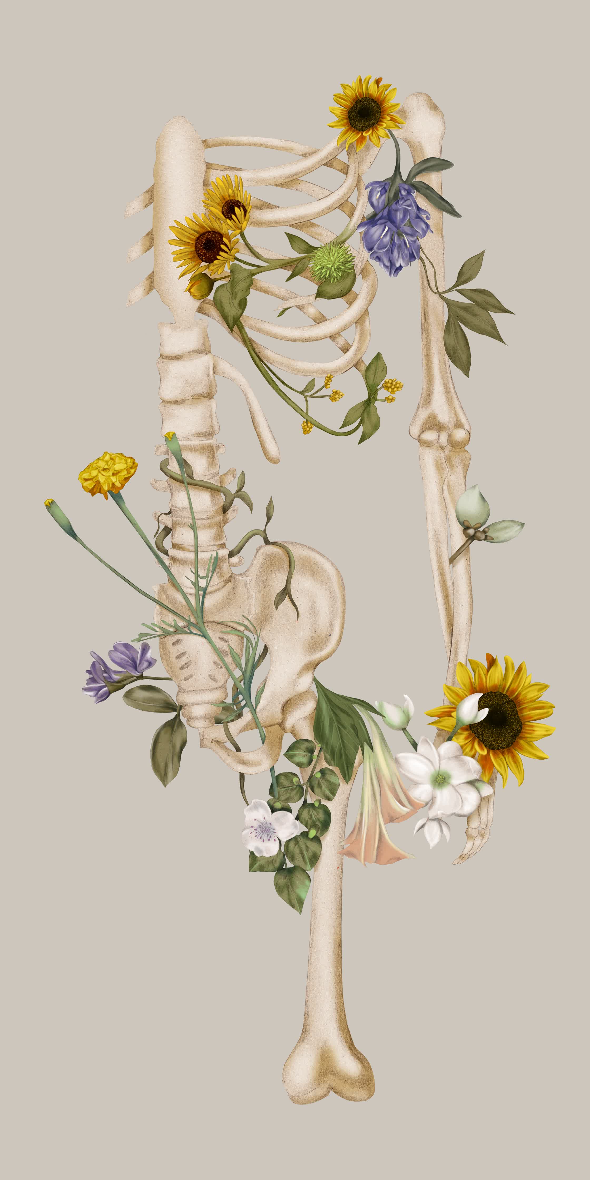 Kelly Thompson _Harnessing Nature - Skeleton.jpg