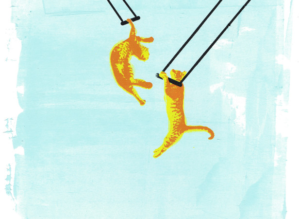 roomzzz_room_to_swing_a_cat_trapeze_screenprint_katie_edwards_illustration.jpg