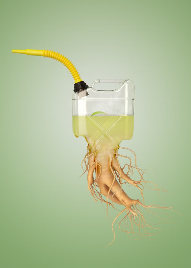 Ginseng Fuel