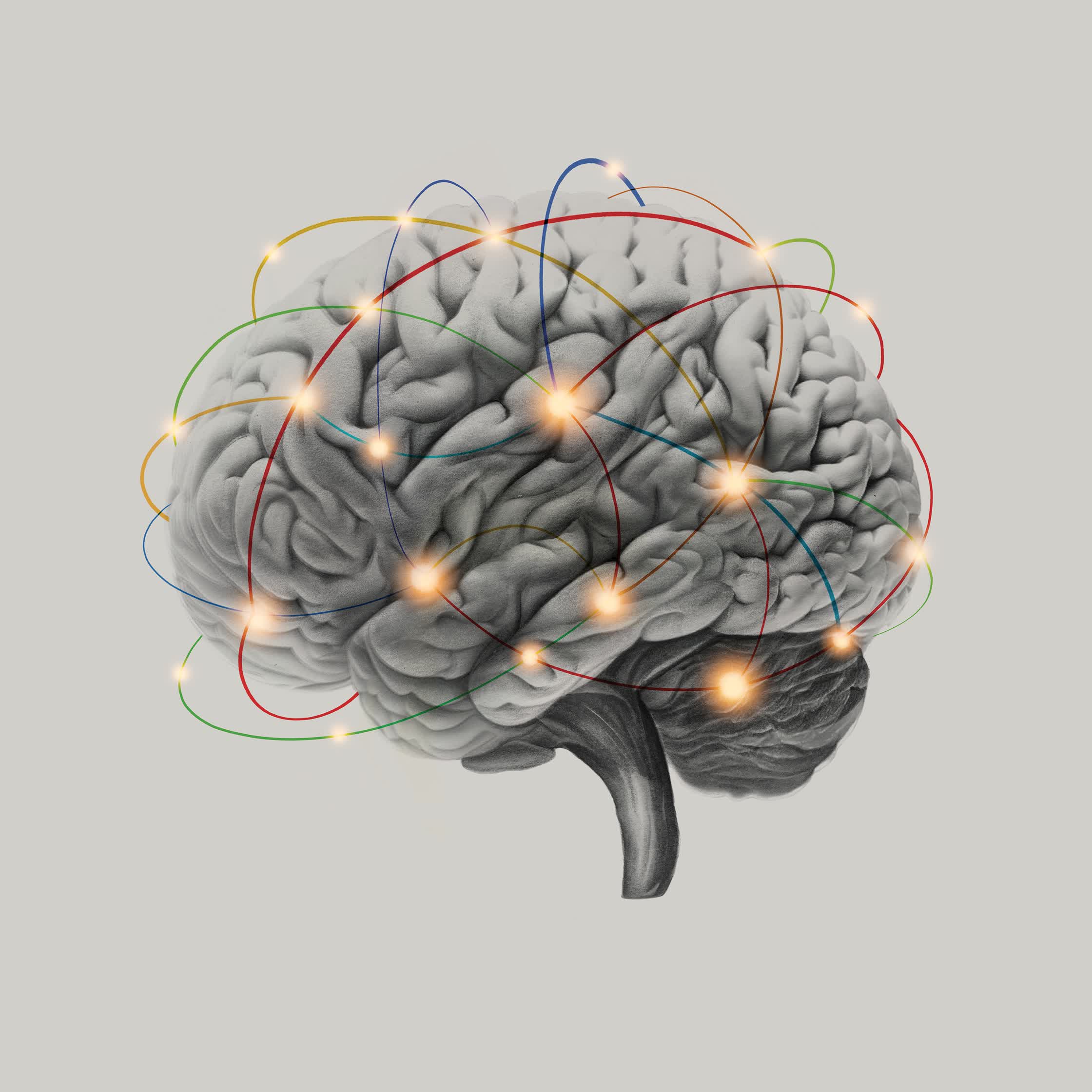 _Brain_ for Thge Philadelphia Enquirer.jpg