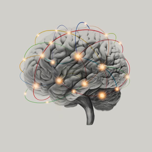 Brain / The Philadelphia Enquirer