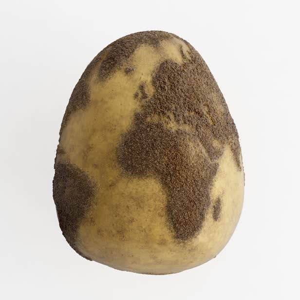 Love Food Hate Waste / Potato Globe