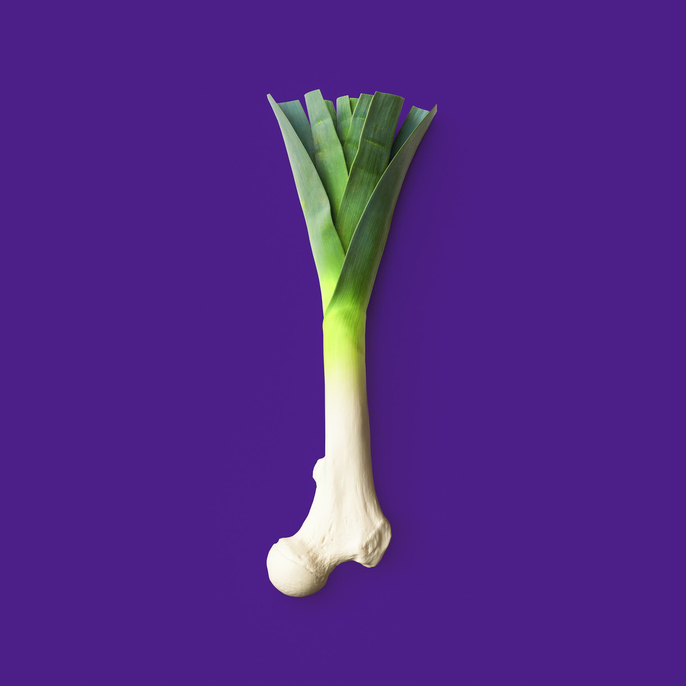 BONE LEEK - PERSONAL.jpg