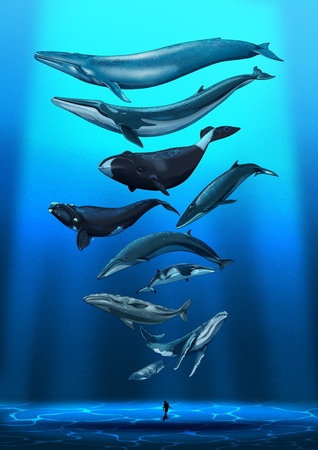 Whales_PersonalProject.jpg