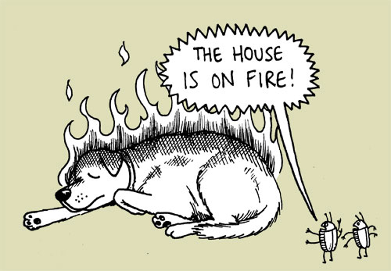 The House Is On Fire!