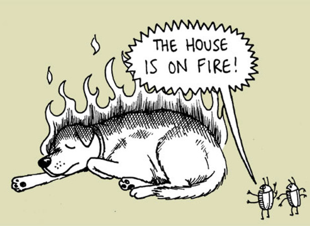 The House Is On Fire!