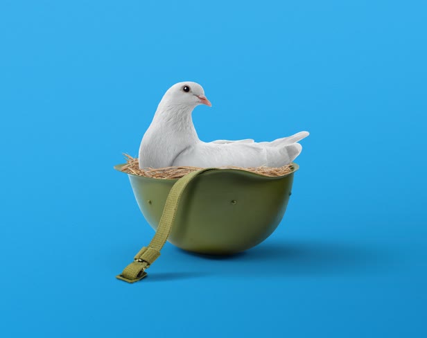 Peace on Ukraine / Die Zeit