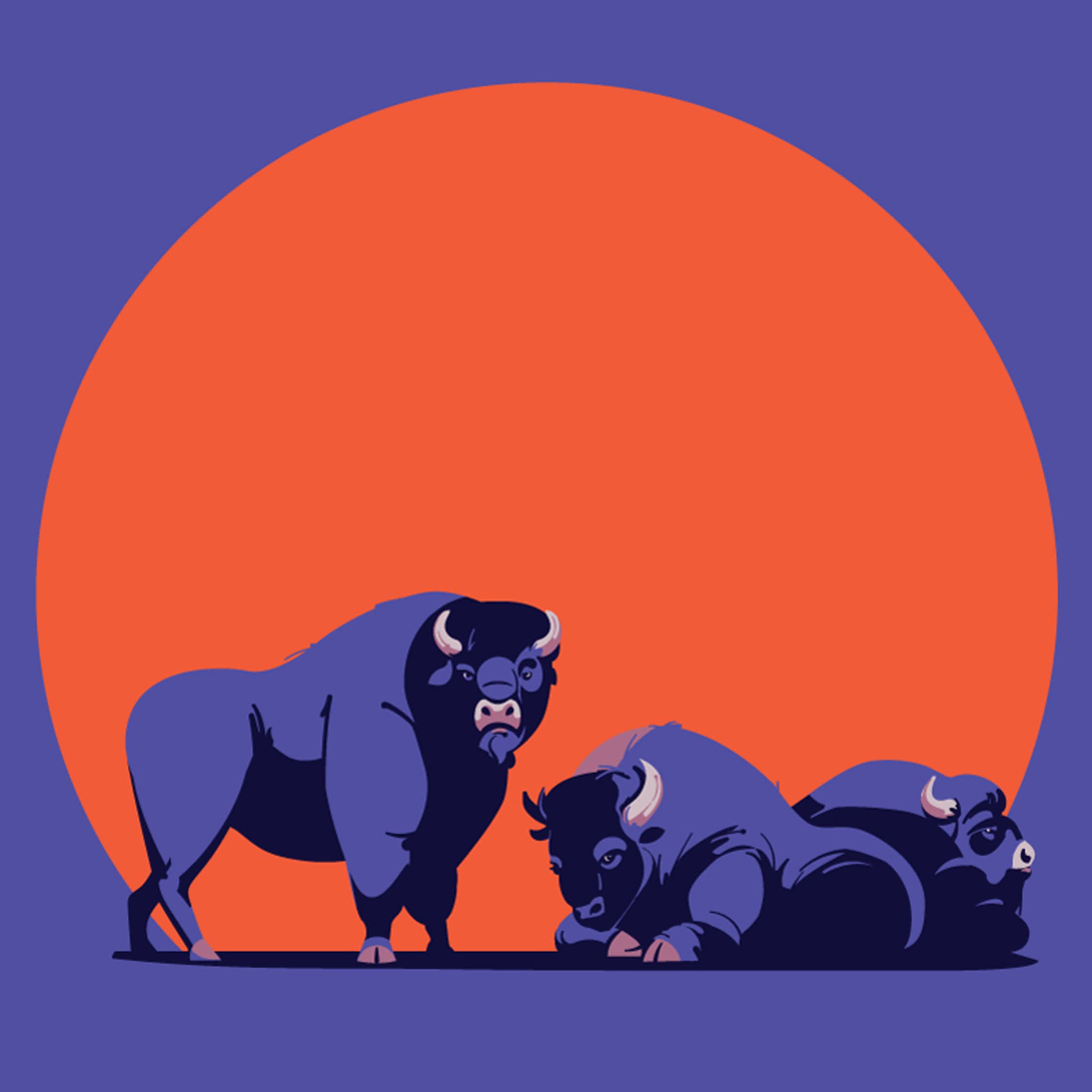 Bisons (sunset series).jpg