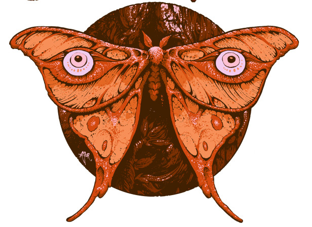 38-moth.jpg