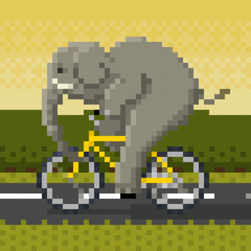 Elephant On A Bike