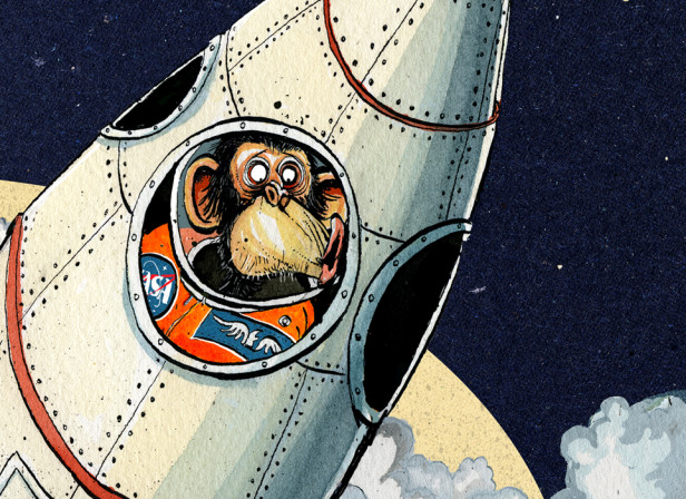 T3 Space Monkey