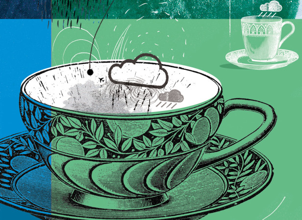 Storm In A Tea Cup The Guardian