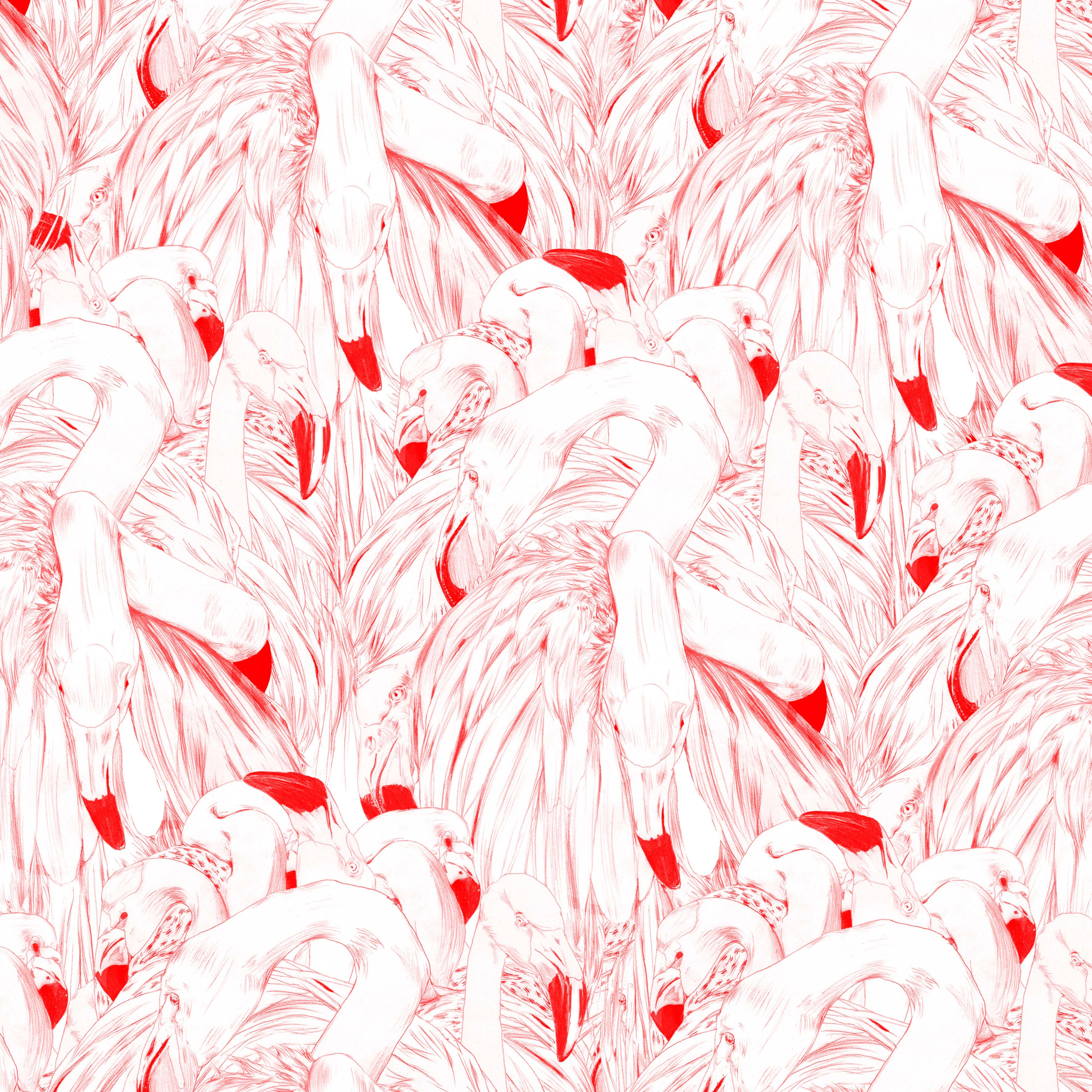 Wallpaper Flamingos