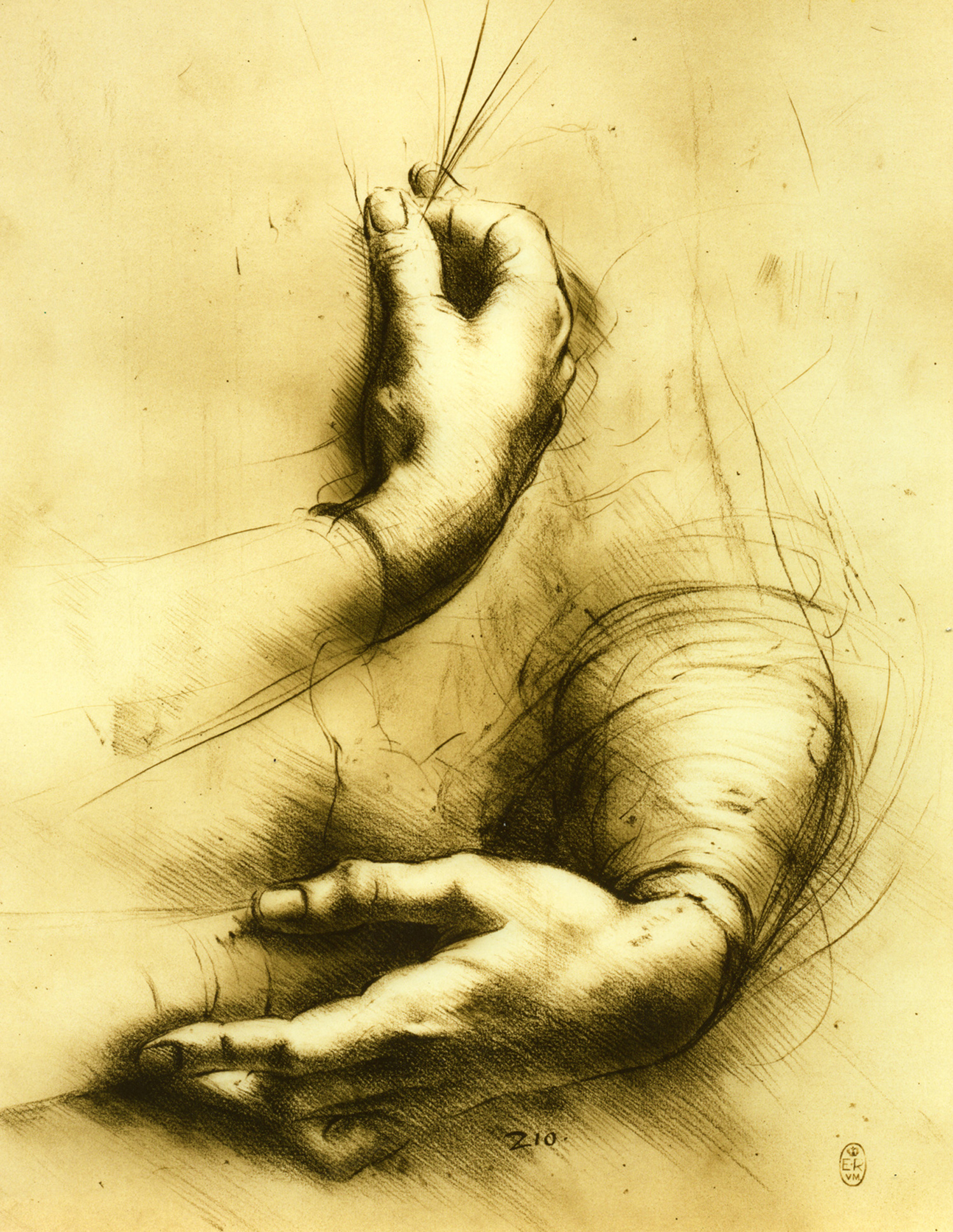 Da Vinci Hands