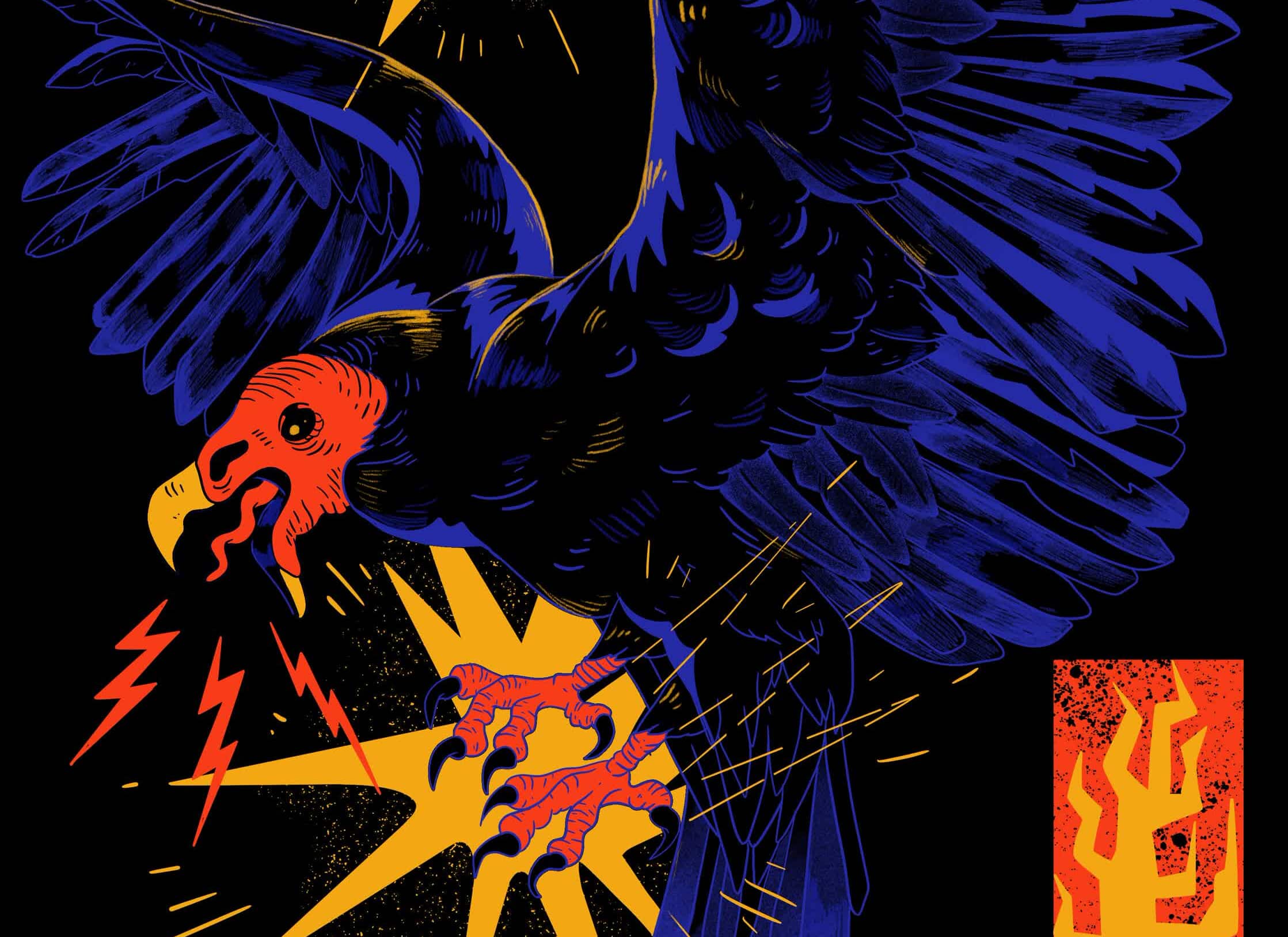 BirdCollective-TurkeyVulture.jpg