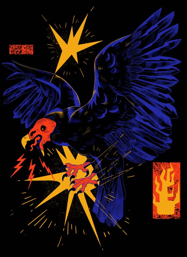 Turkey Vulture / BirdCollective
