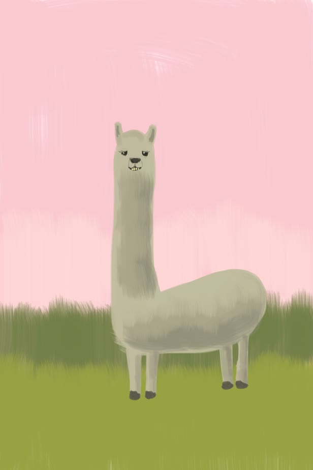 Llama