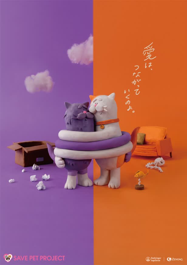 Cats / Save Pet Project