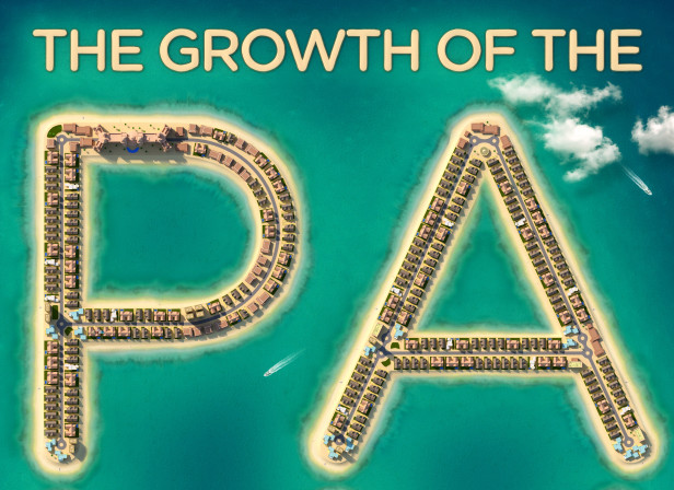 Growth of the Palm