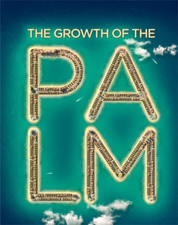 Growth of the Palm