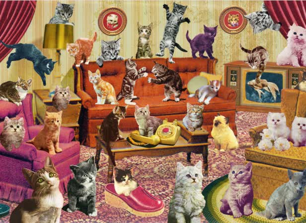Count my Kittys / Frobisher Says Game / SONY PSvita