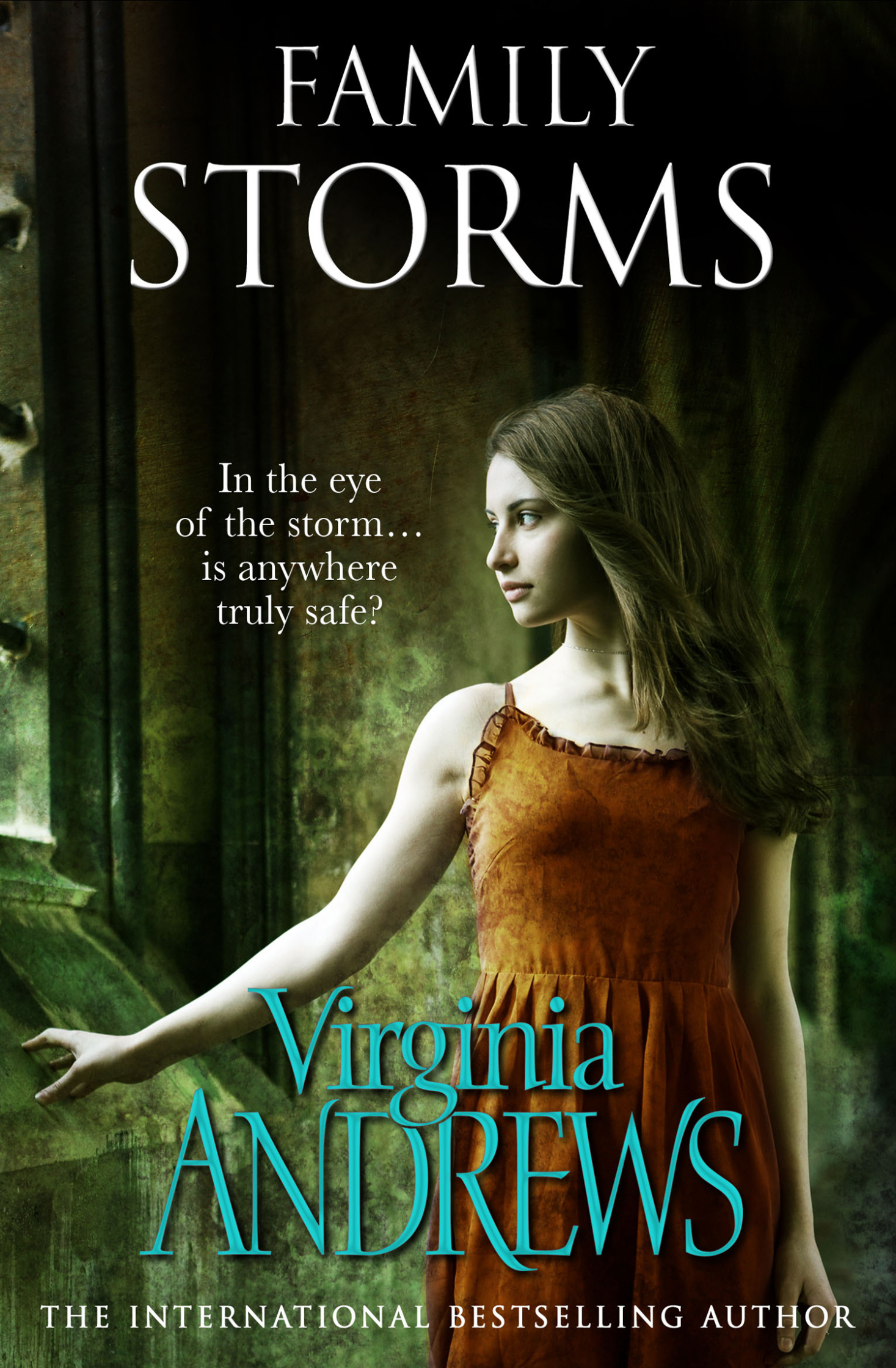 Family Storm / Virginia Andrews
