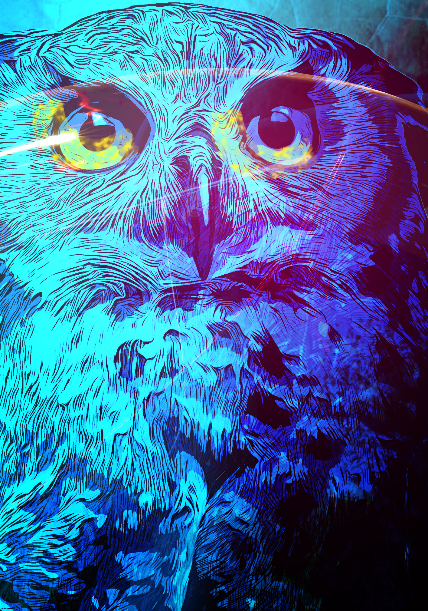 Owl &amp; the Night