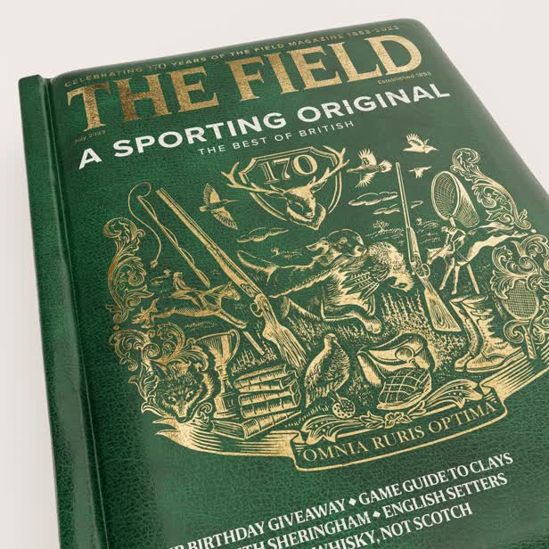 Cover 170th Anniversary / The Field