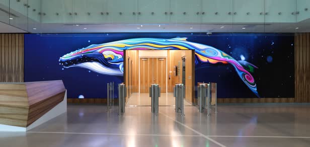 Whale Live Mural / Merck