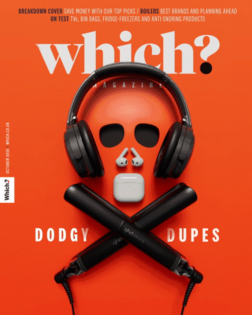 Dodgy Dupes cover / Which? Magazine