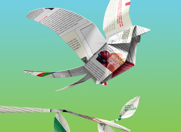 Origami bird SHP2.jpg