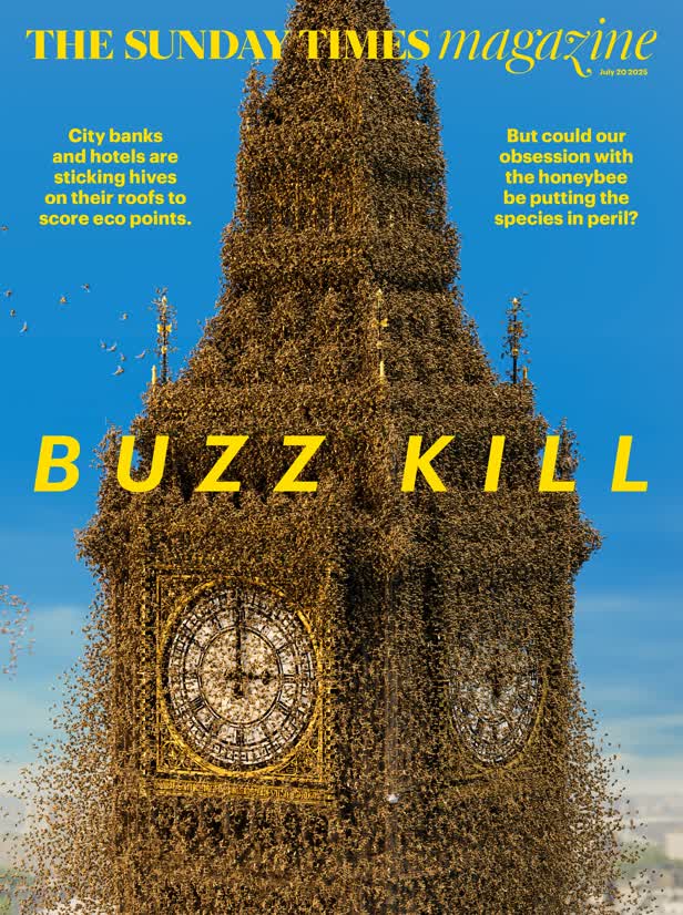 Bees cover / Sunday Times Magazine