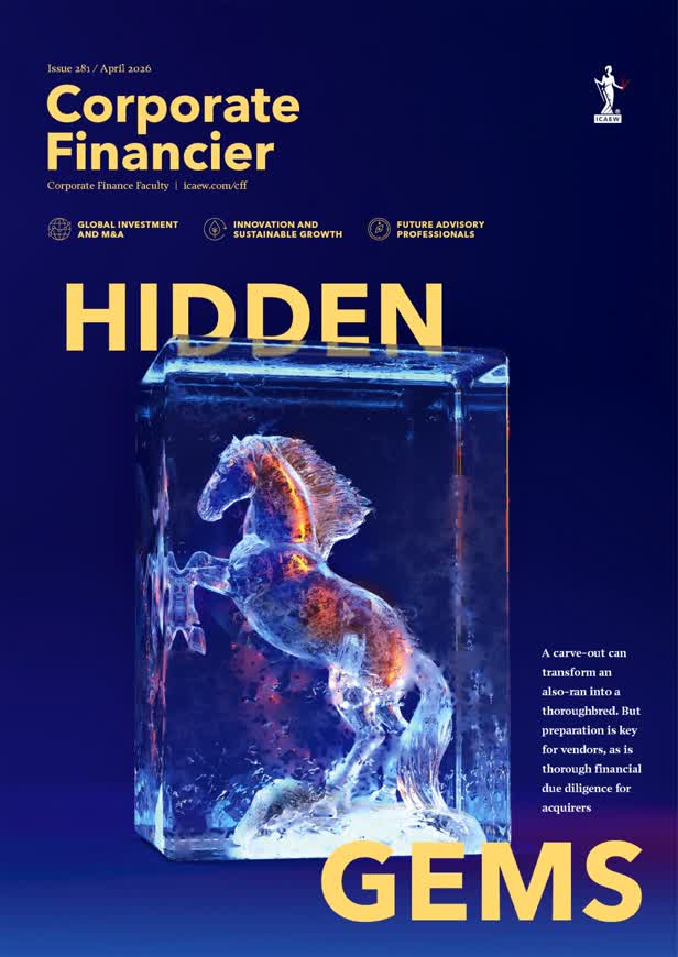 Hidden Gems / Corporate Financier