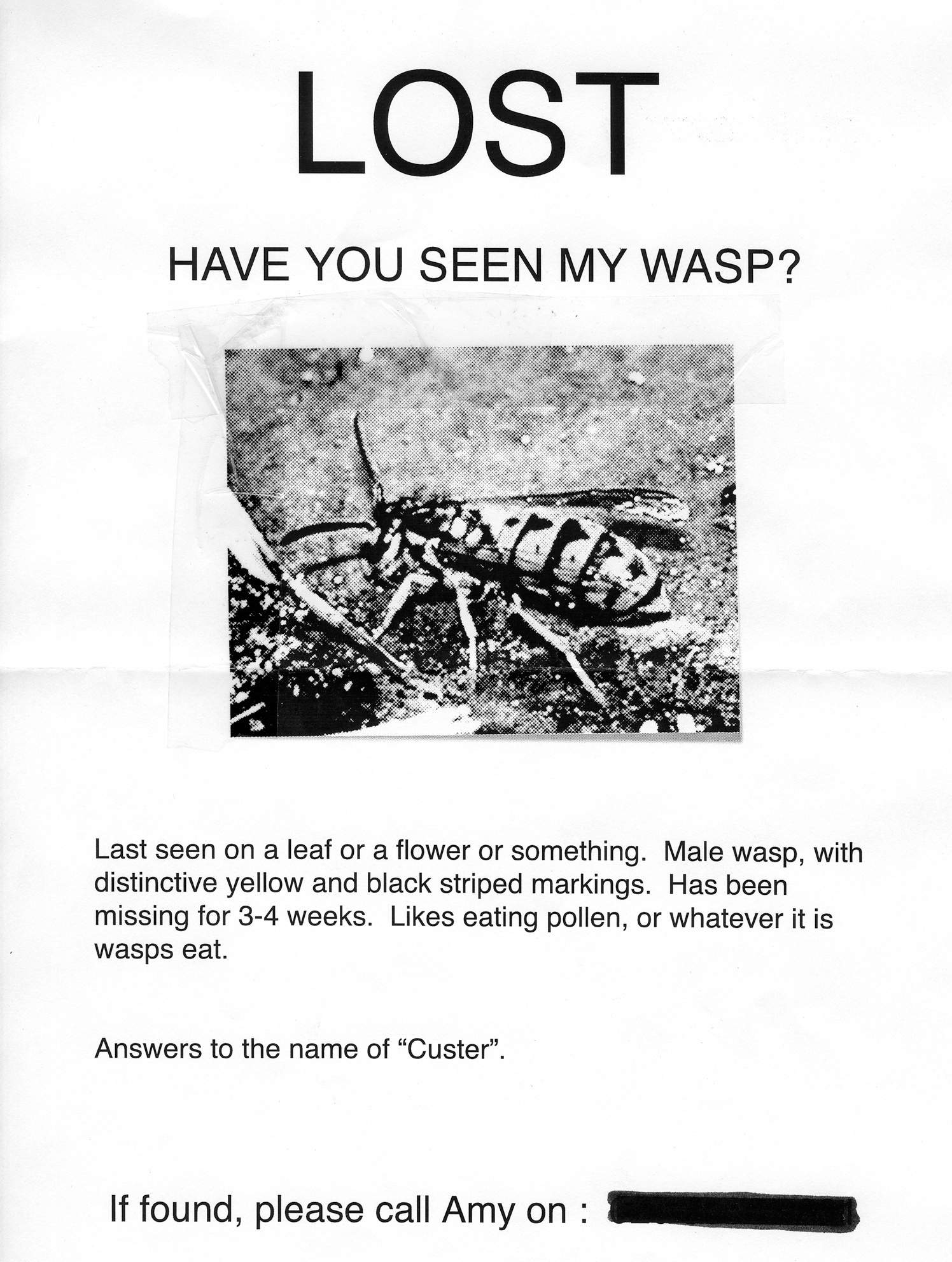 Lost. Have You Seen My Wasp?