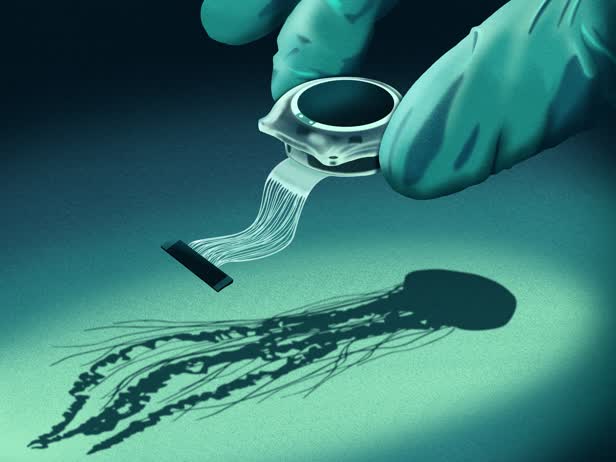 MuskBrainChip_AlMajalla.jpg