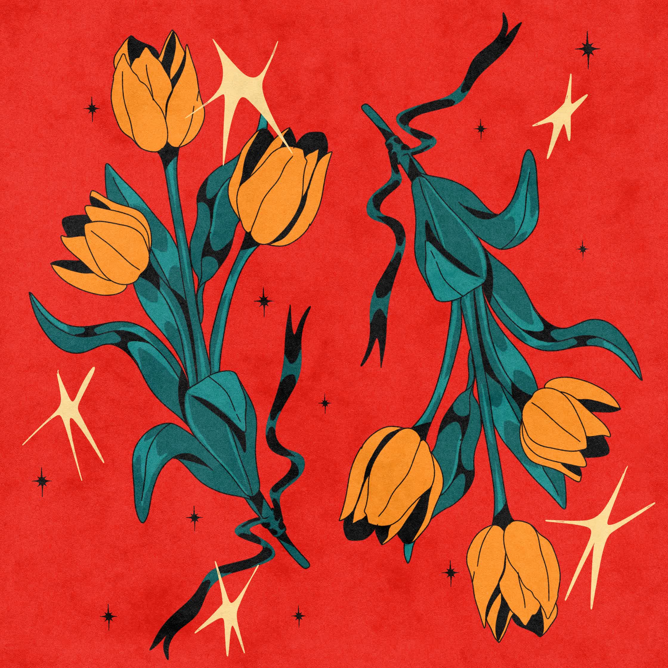 PersonalProject-Tulips.jpg