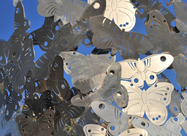 Silk Moths Public Sculpture Salmon Properties