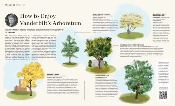 Spring Trees / Expertise Magazine