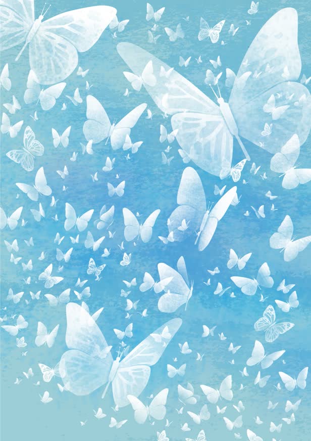 Butterflies Beyond
