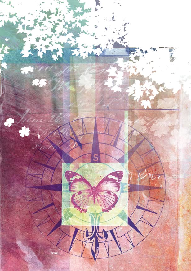 Butterfly Love Emotional and Spiritual Journey