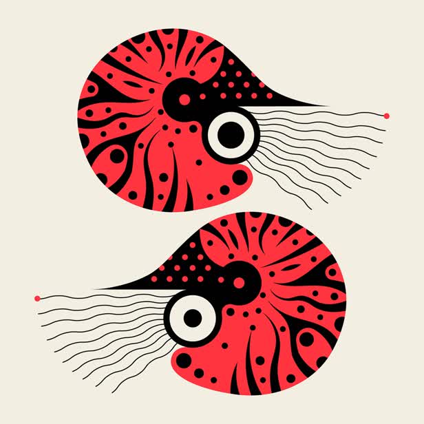 Under The Sea