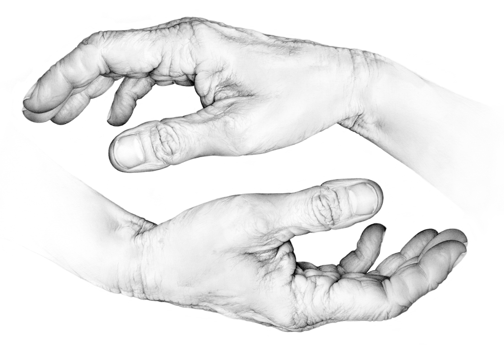 Hands Giving And Taking