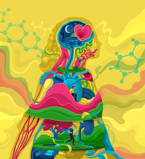 Hormone Explainer / BBC Science Focus
